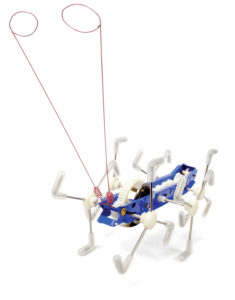 Maxi Ant Franta. Mechanisches Blechschlüsselspielzeug