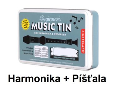 Musikinstrumente für Kinder Kinderpfeife und Blasakkordeon